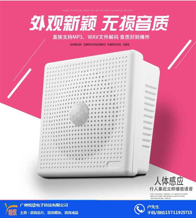 感应提示喇叭图.jpg